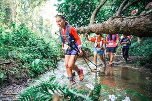 BIB: 
                            <button type="button" onclick="openModal(25515381)" class="btn btn-primary btn-sm float-right btn-popup" data-toggle="modal" data-target=".modal-high-quality">
                        <i class="fas fa-shopping-cart"></i> Add to Cart
                    </button>
                                            <button type="button" onclick="isThisMe(25515381, true)" class="btn btn-success btn-sm float-right btn-popup btn-isme hidden" data-toggle="tooltip" data-placement="bottom" title="นี่คือรูปของคุณใช่ไหม คลิกที่นี่เพื่อเอาเข้าอัลบั้ม">
                        <i class="fas fa-plus"></i> Add to album
                    </button>
                    <button type="button" onclick="isThisMe(25515381, false)" class="btn btn-warning btn-sm float-right btn-popup btn-isnotme hidden">
                        <i class="fas fa-ban"></i> Remove from album
                    </button>